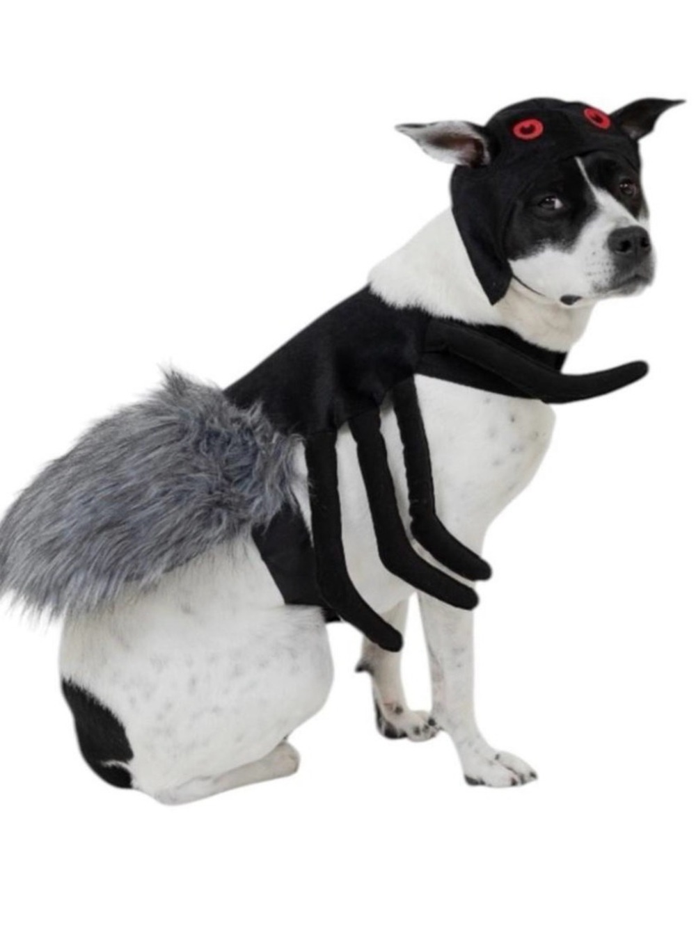 Vibrant Life Halloween Spider Pet Costume Furry Dog Cat Small 10-20 lbs NWT
